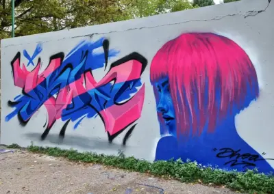 dhoa-bluepink