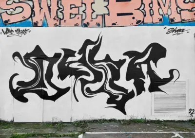 dhoa-cott-11