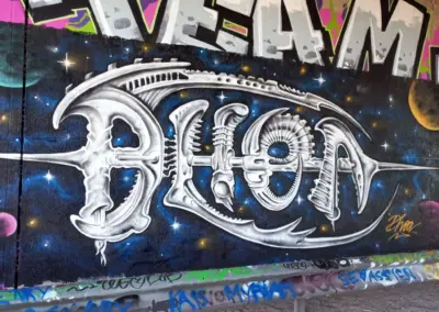 dhoa-cott-16