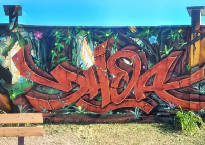 dhoa-cott-8
