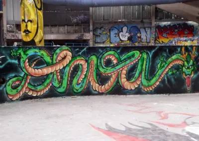 DHOA urbex piscine dragonball
