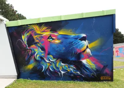 dhoa-liondhoa