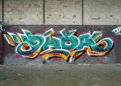 dhoa-oadh2