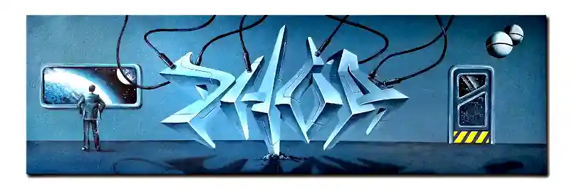 dhoa-toile-spacx
